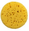 Foam Sea Sponge - Small Size